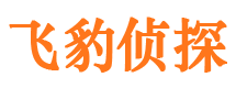 黎川侦探